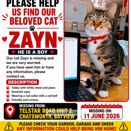 Picture of cat lost at Durban