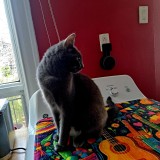 LUNA