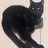 Osiris