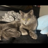 ralph