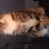 Marxie