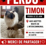 timon
