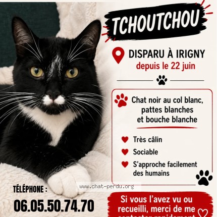 Photo of a cat found in Irigny