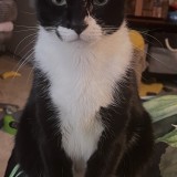 Tux