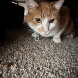 Ken