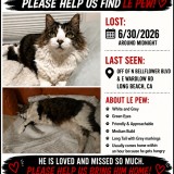 Le Pew