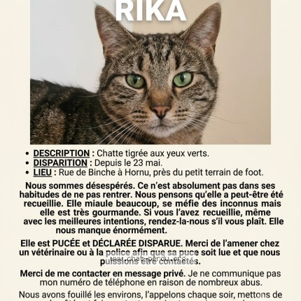 Foto 1/1 Rika Kat vermist in Hornu