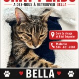 Bella