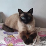 Mia