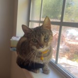 Daisy Mae