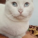 grumpy