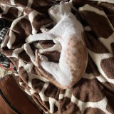 coco