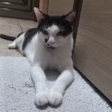 Miyu