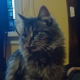 Bubba