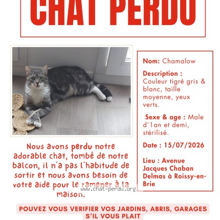 Photo of a cat found in Roissy En Brie