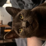 jackie