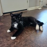 Tux
