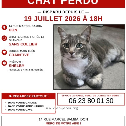 Photo of a cat found in Don