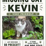 kevin