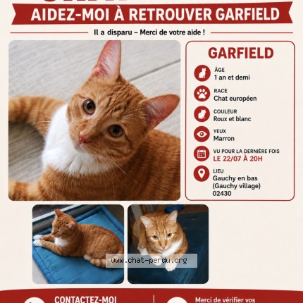 Photo of a cat found in Gauchy