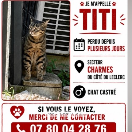 Photo of a cat found in Charmes