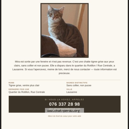 Foto 1/1 mira Katze verloren in Lausanne