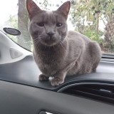 Mia