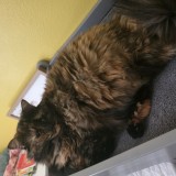 Chloe