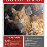 TH&Eacute;O