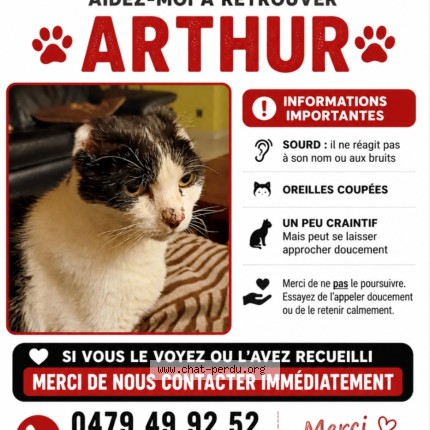 Foto 1/1 Arthur Kat vermist in Courcelles
