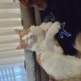 Zumby