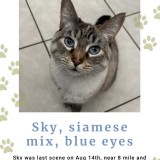 sky