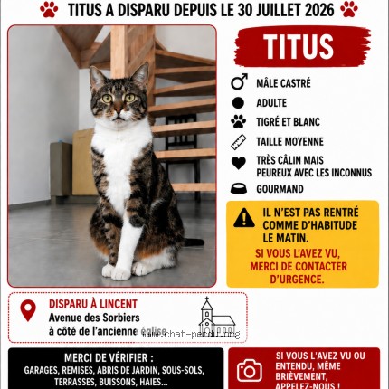 Foto 1/1 Titus Kat vermist in Lincent