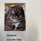 JeanJean
