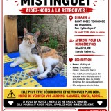 Mistinguet
