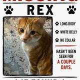 Rex