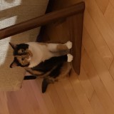 Oona