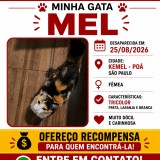 Mel