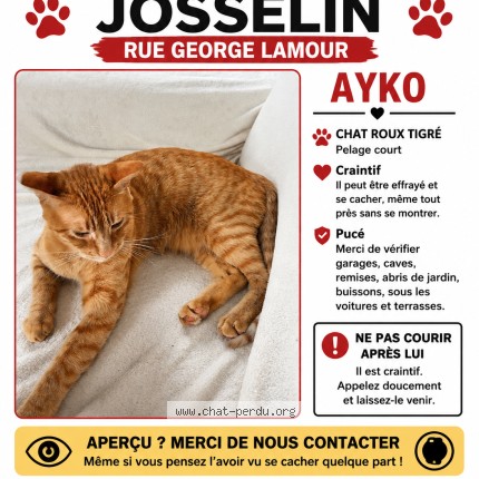 Photo of a cat found in Josselin