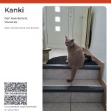 kanki