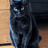 SAMBA