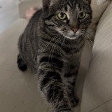 Abby