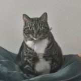 Trixie