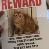 billy