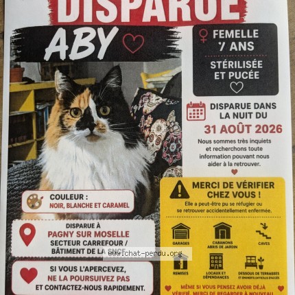 Photo of a cat found in Pagny Sur Moselle
