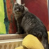 L&eacute;o