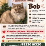 BOB