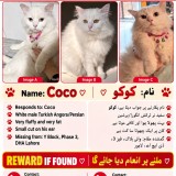 Coco