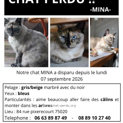 Photo of a cat found in Paris