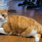 Roux